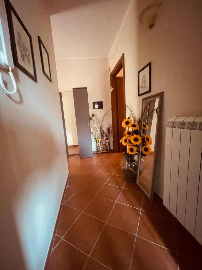 Da Nonna Pasqualina Bed and Breakfast Ciorlano Exteriör bild